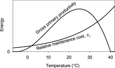 A temperature-based model of biomass accumulation in humid forests of the world